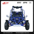 EPA/EWG Road Legal 300cc 2 Sitz automatische Dune Buggy